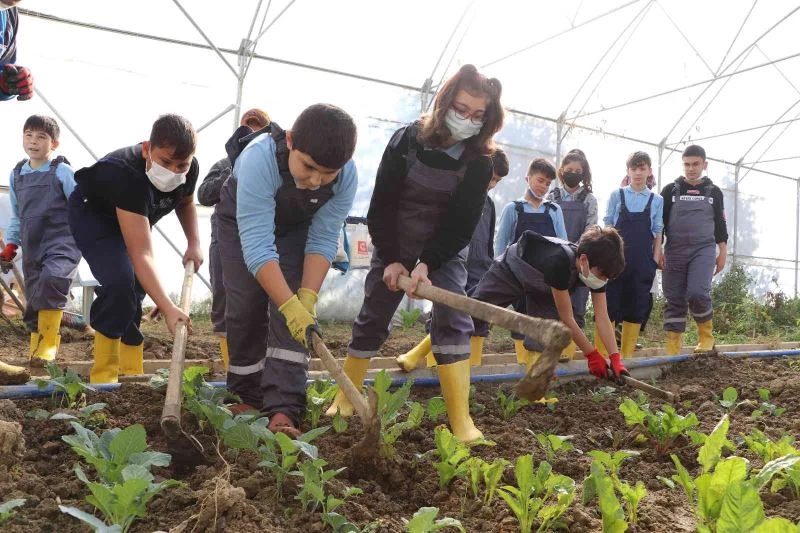 Okuldaki serada hem öğreniyor hem eğleniyorlar
