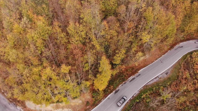 Zonguldak ormanlarındaki hazan renkleri havadan görüntülendi
