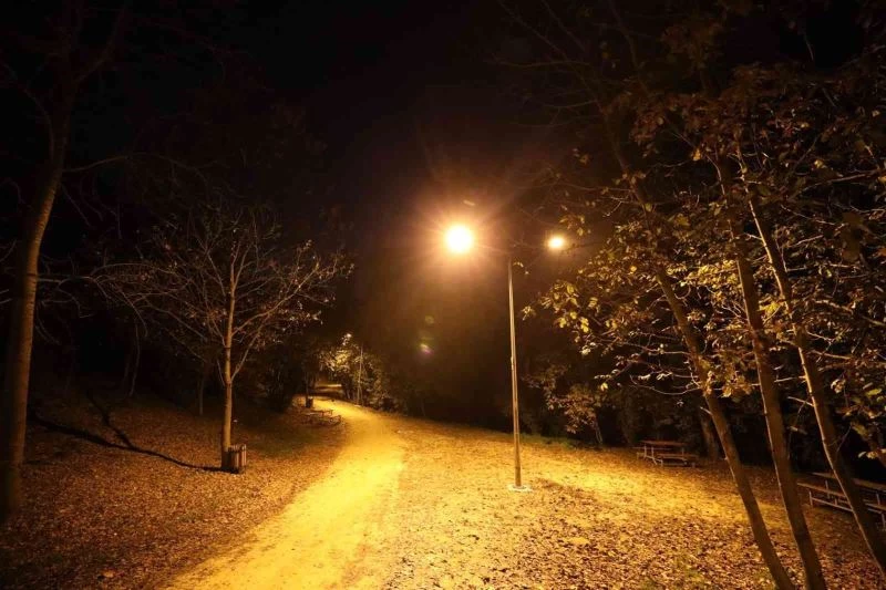 Döngel Vadisi Millet Bahçesi aydınlatıldı
