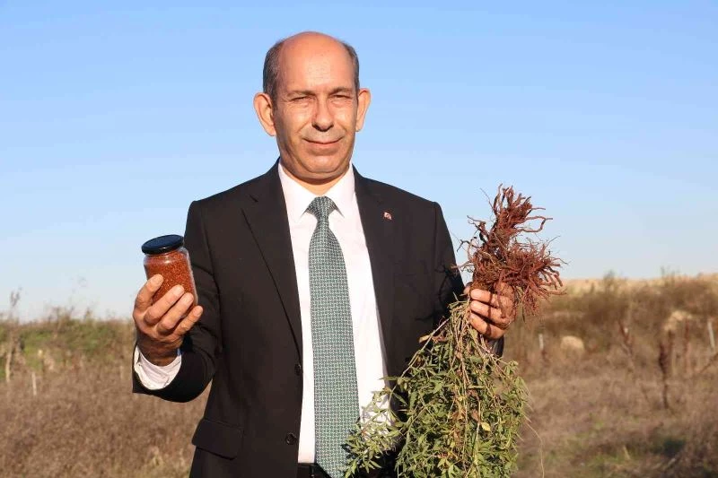 Formülü padişah fermanıyla yasaklanmıştı, yıllar sonra Edirne’de hayat bulmaya başladı
