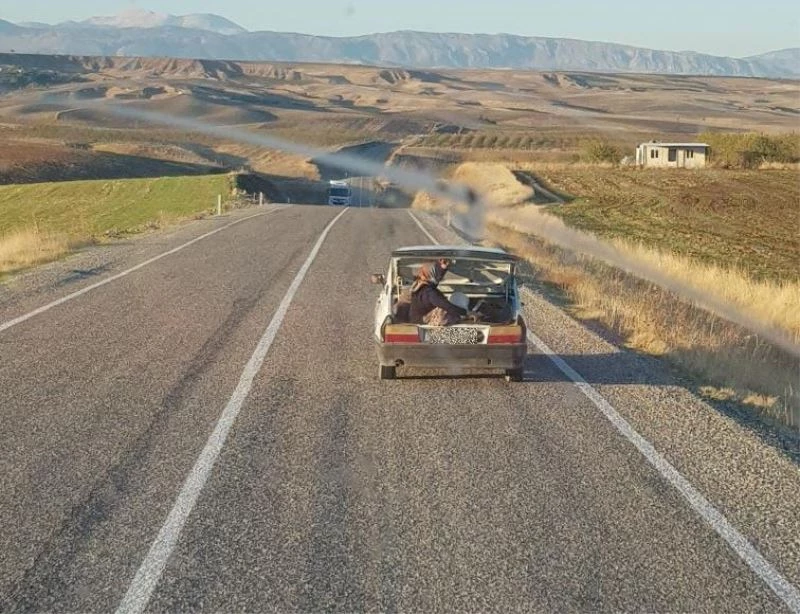 Yaşlı kadının bagajda yolculuğu
