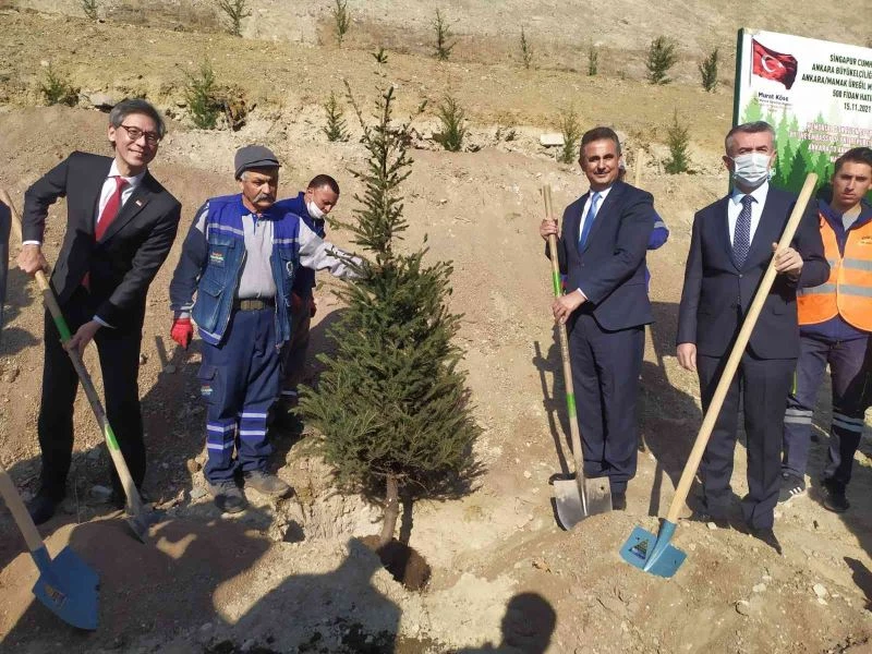 Singapur Büyükelçiliğinden, Mamak’a 500 fidan bağışı
