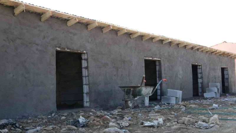 Muş’ta sokak hayvanları için beslenme alanları ve barınaklar inşa edildi
