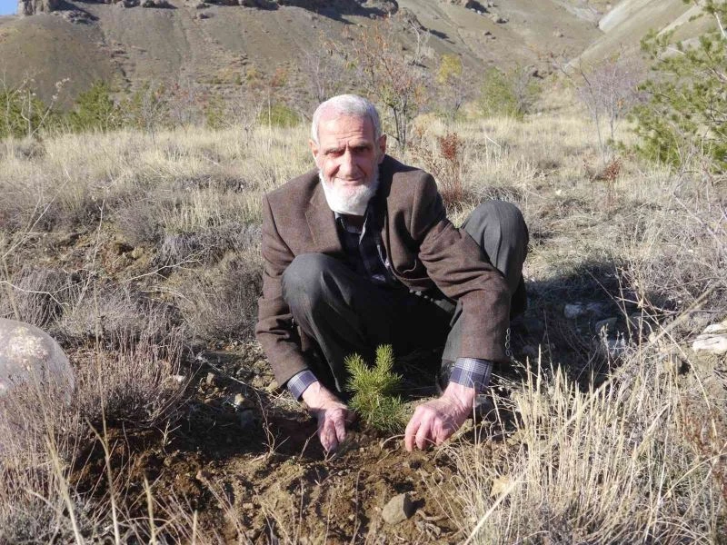 81’lik çınar fidan dikerek doğaya can veriyor
