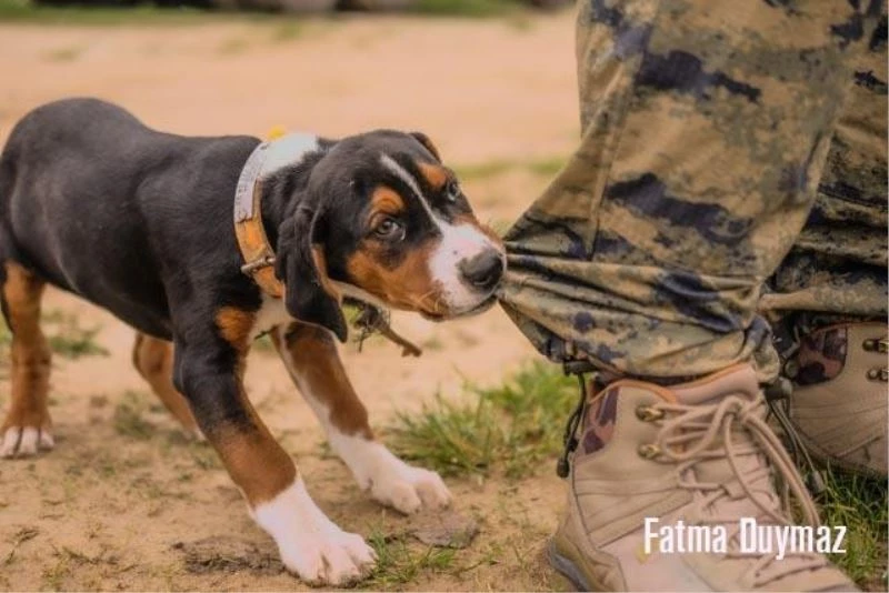 Kapıdağ’ın güzellikleri fotoğraflarla sergilendi
