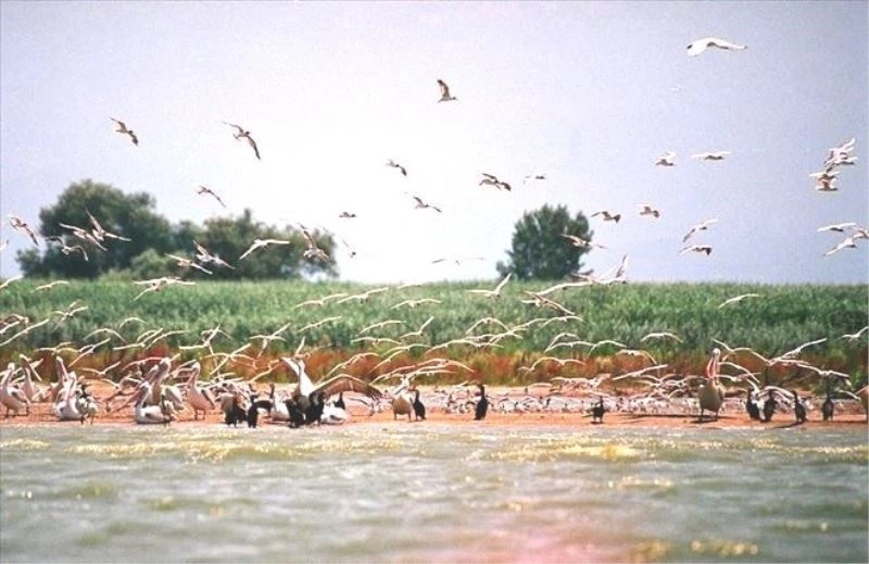 Bandırma Kuşcenneti tehdit altında
