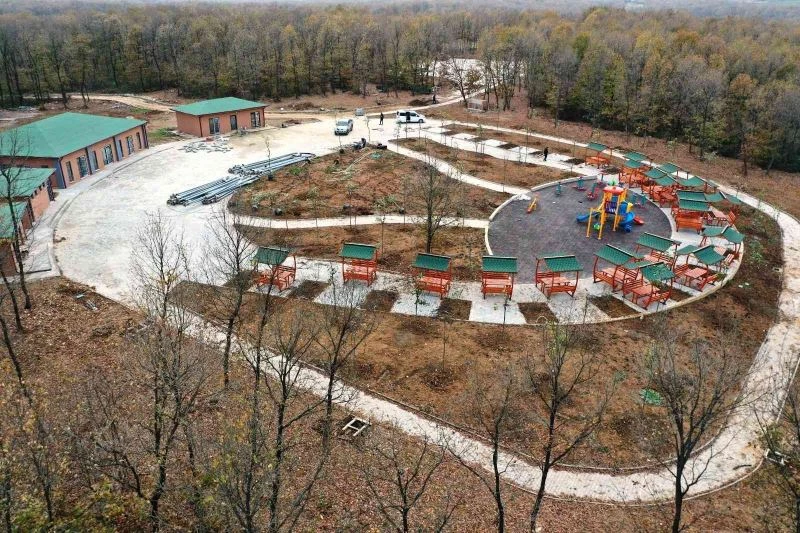 Tepecik mesire alanında sona gelindi
