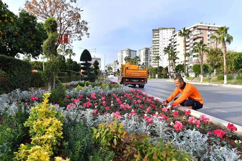 Mersin’de cadde ve refüjler mevsimlik bitkilerle bezeniyor
