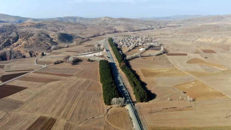 Bozkır’ın ortasında ağaç koridoru
