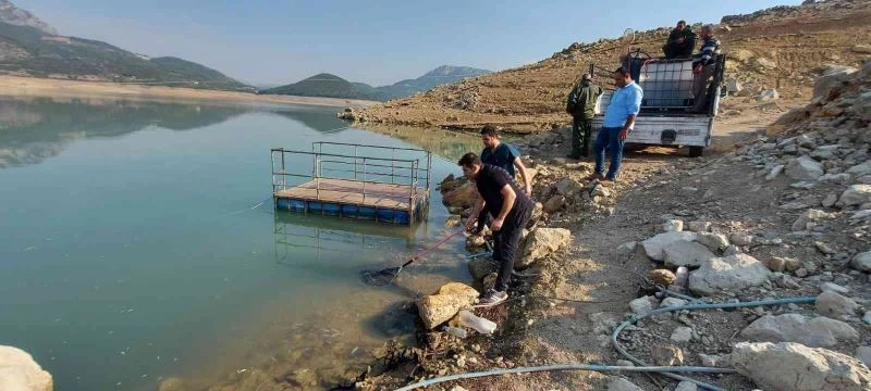 Kuruyan deredeki yavru balıklar kurtarıldı
