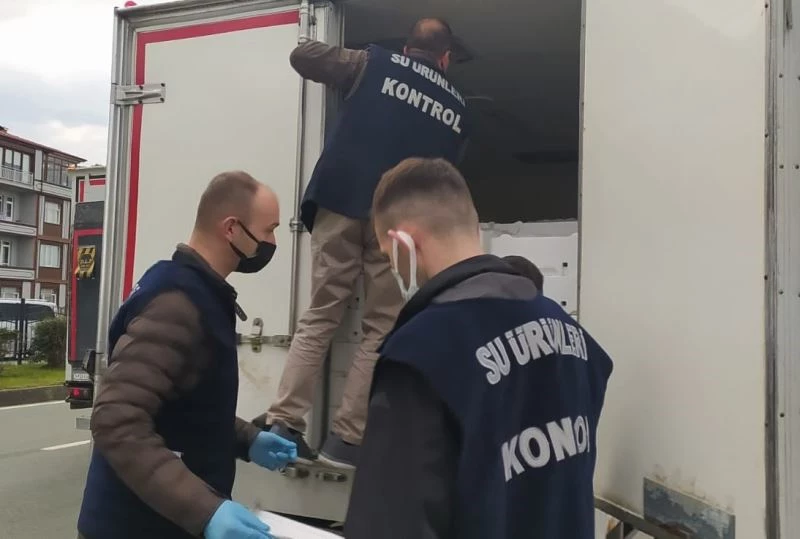 Rize’de 8 ton 300 kilogram balığa el konuldu
