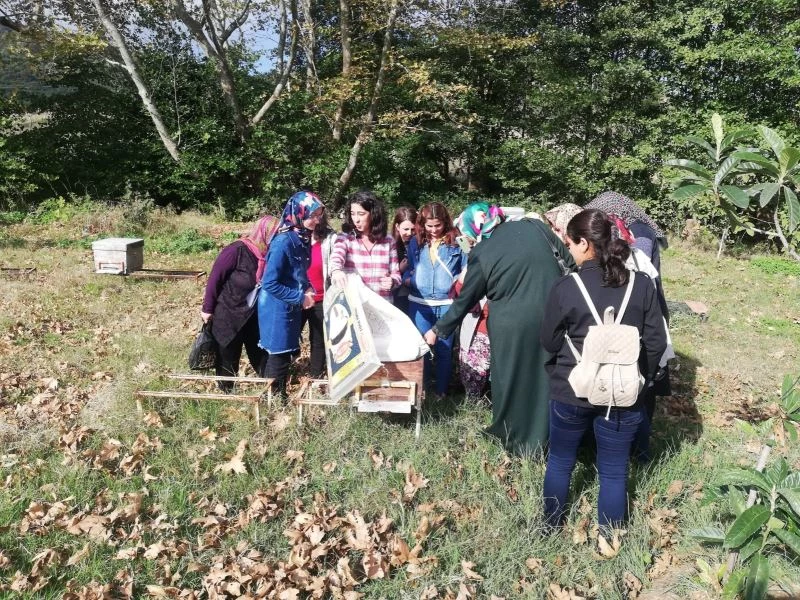 Balıkesir’de köylü kadınlar organik bal ve propolis üretecek
