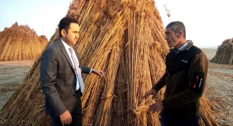 Kaymakam Bolat kamış ticaretinin yapıldığı o köyü ziyaret etti
