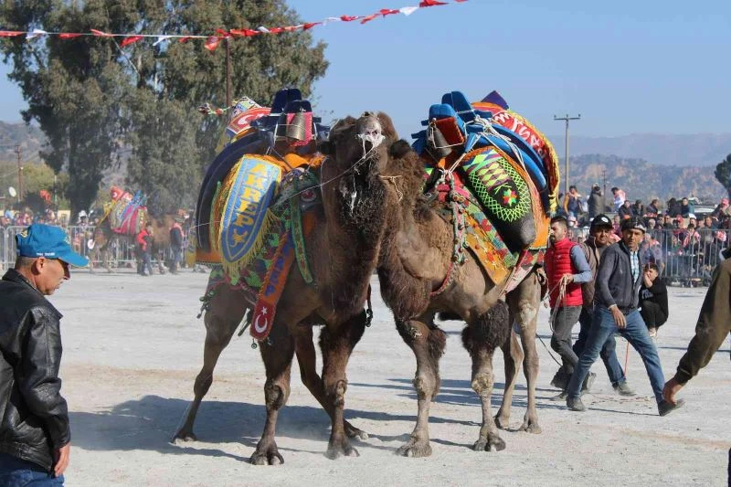Ege’de develer arenaya indi

