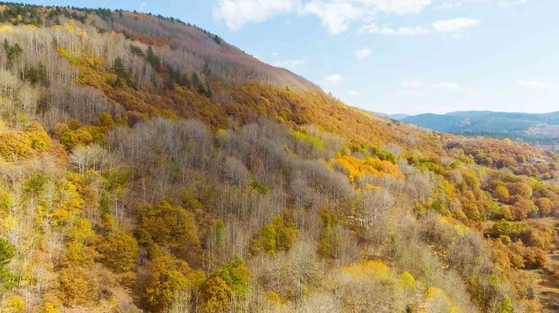 Işık Dağı sonbaharda manzarasıyla hayran bırakıyor

