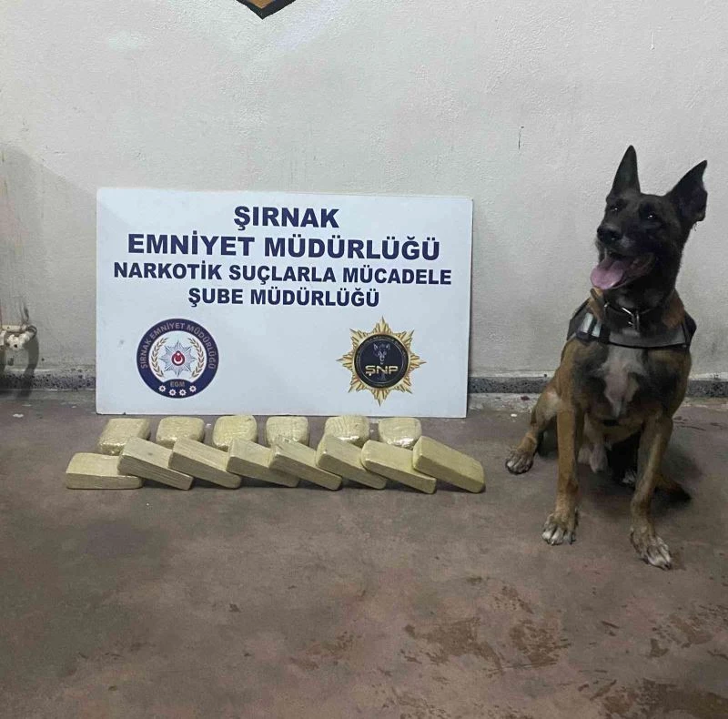 Şırnak’ta terörün finans kaynaklarına operasyon: 34 gözaltı
