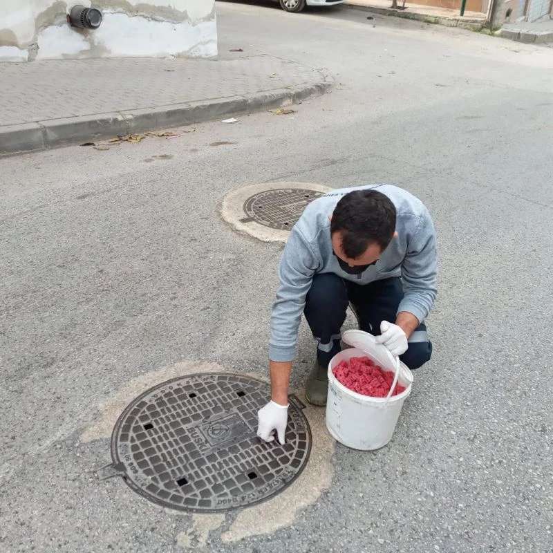 Haşerelere karşı mücadele
