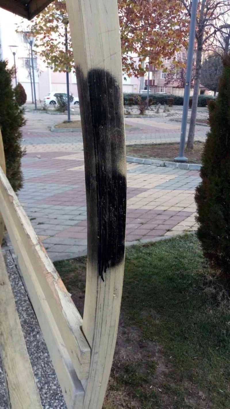 Şehir magandaları parktaki kamelyaları yaktı
