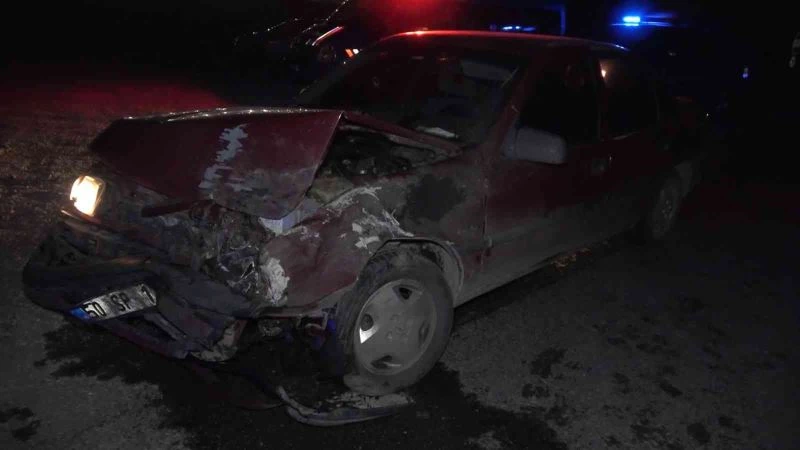 Otomobil yola fırlayan domuza çarptı: 3 yaralı
