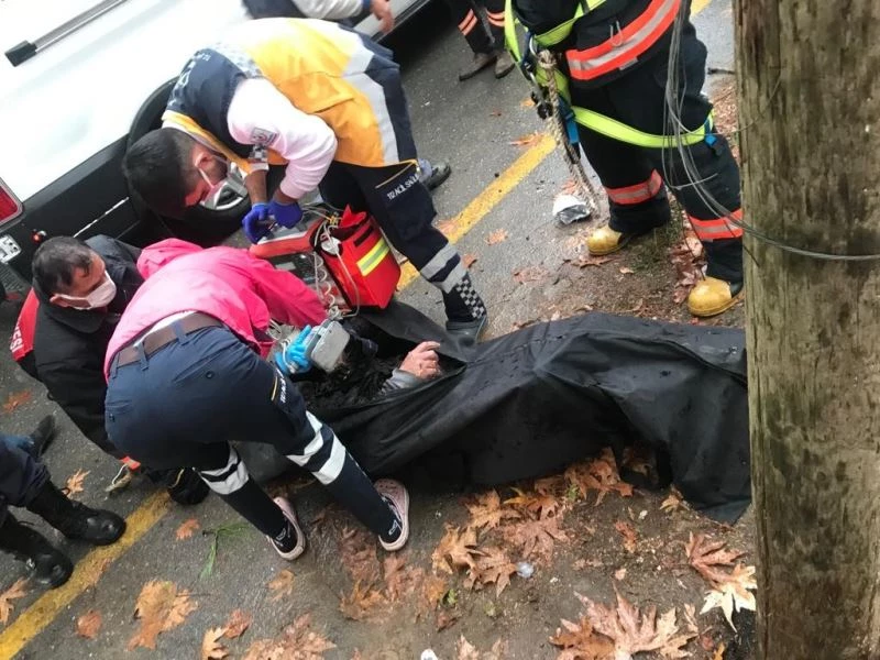 Kozalak toplarken elektrik akımına kapılıp hayatını kaybetti
