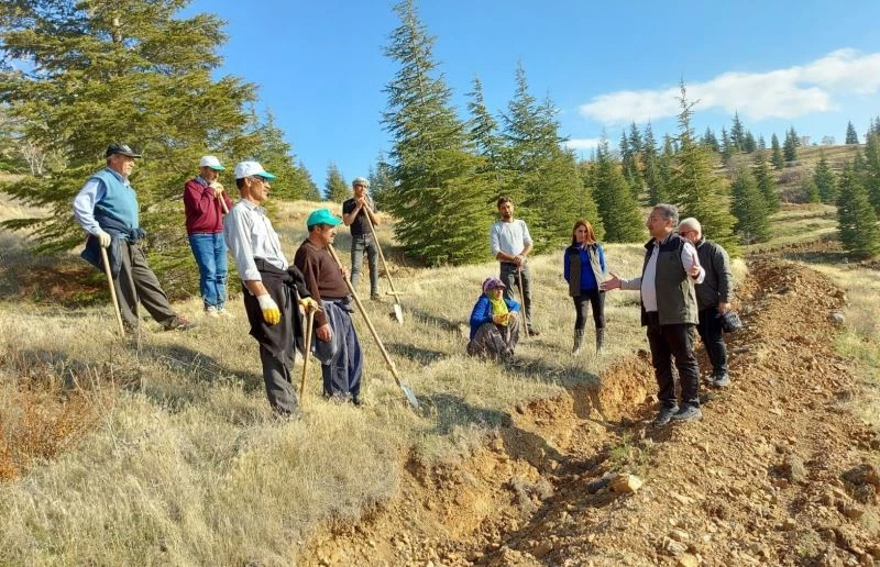 Kömürhan Köprüsünün iki yakasına 55 bin adet fidan dikilecek
