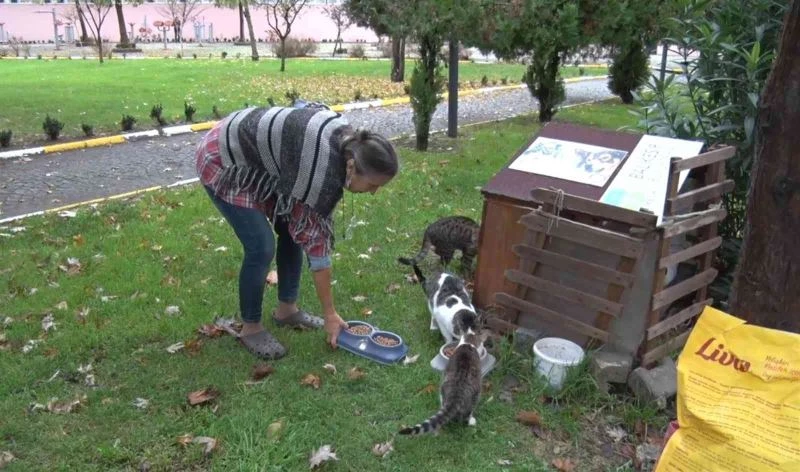 Başkan Yılmaz’a mektup yazdı, onlarca kediyi doyurdu

