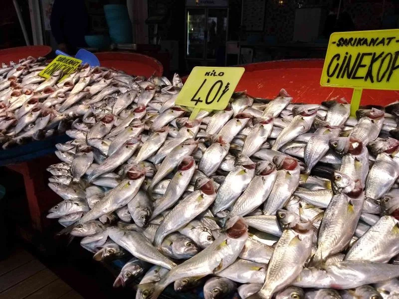 Balık tezgahlarında çupra ve çinekop bolluğu
