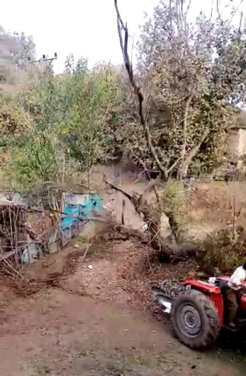 Kestikleri ağaç az daha sonları oluyordu
