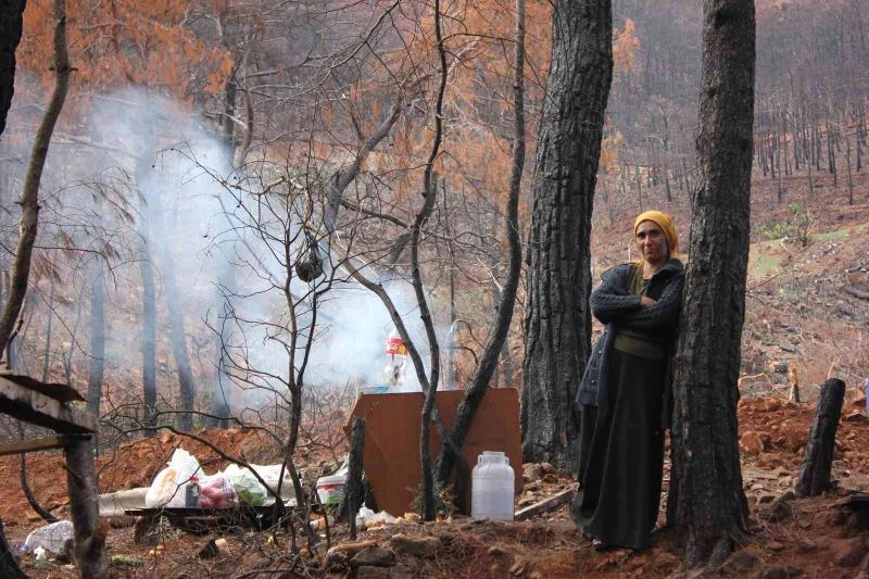 Yanan sahalarda kesim işçilerinin elektriksiz yaşam mücadelesi
