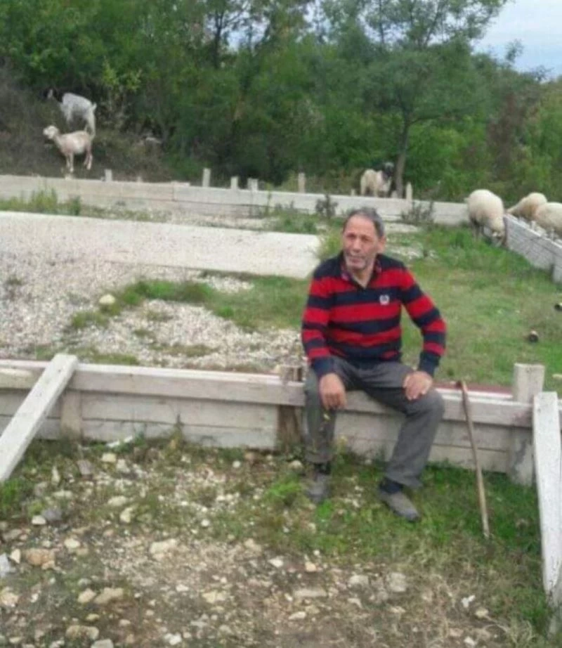 Namaza giden çobanın 36 küçükbaş hayvanı kayboldu
