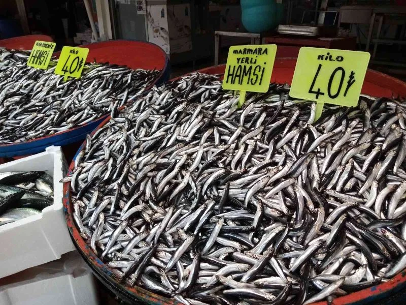 Lodos balık tezgahlarına esti
