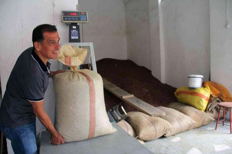 Fındık fiyatı 30 lirayı görmesinin ardından yeniden düşüşe geçti
