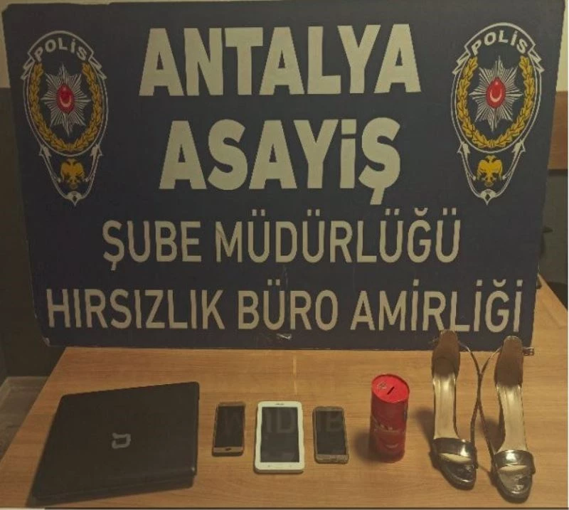 Çilingirle girdikleri evden kediyi bile çaldılar
