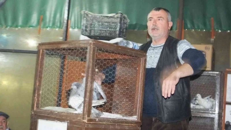 Balıkesir’de güvercin mezadı meraklıları buluşturdu
