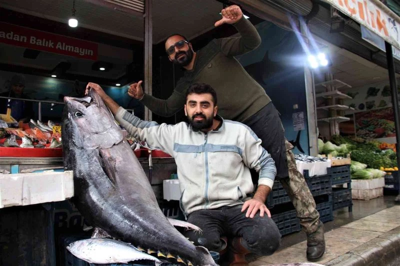 Dev orkinos görenleri hayretler içinde bıraktı
