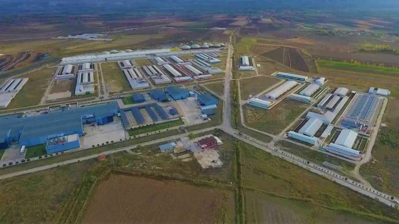 Suluova TDİ Besi OSB, Avrupa devleri arasına girecek
