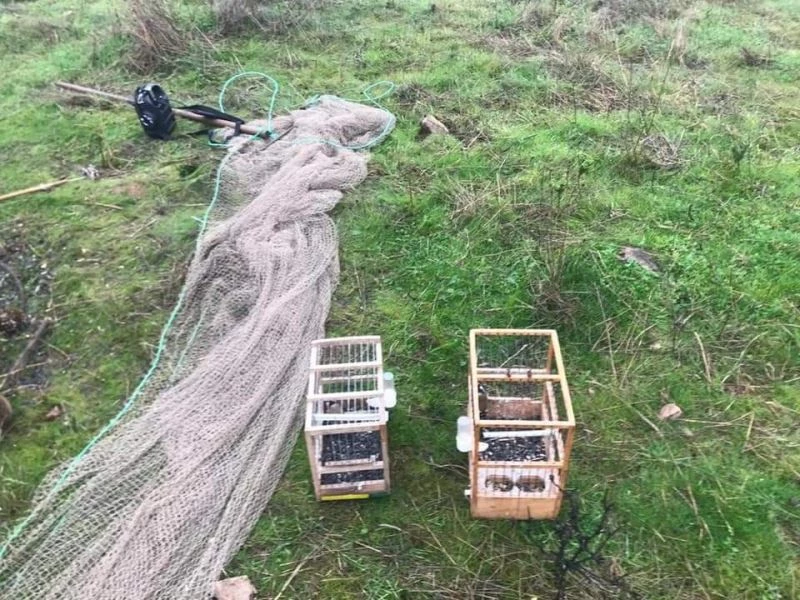 Yasa dışı avlanmaya 62 bin 349 lira ceza
