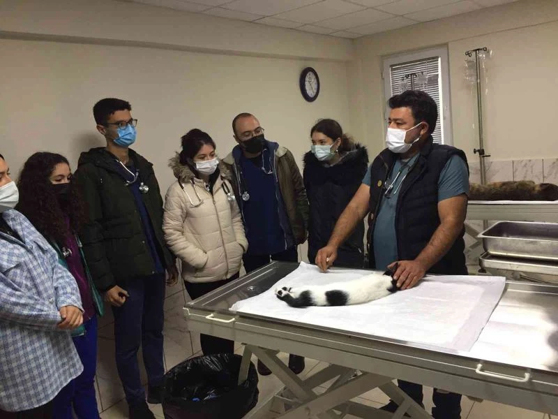Geçici Hayvan Bakımevi Veterinerlik öğrencilerini ağırladı
