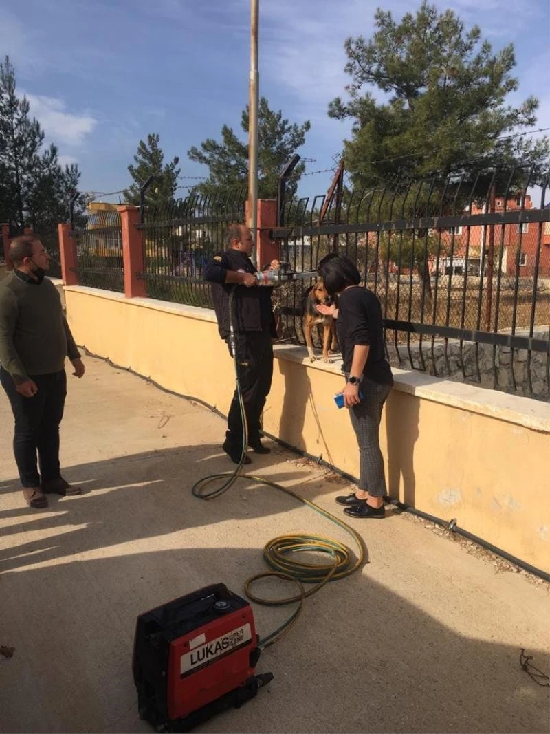 Demir parmaklıklara sıkışan köpek itfaiye ekiplerince kurtarıldı
