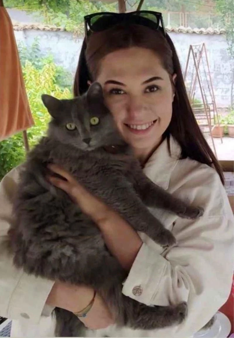 Genç doktorun kahreden ölümü: Kedisini kurtarmaya çalışırken düşüp öldü
