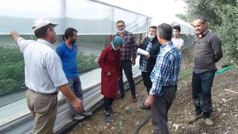 Sel baskınları sonrası zarar gören seralarda hasar tespit çalışmaları başladı
