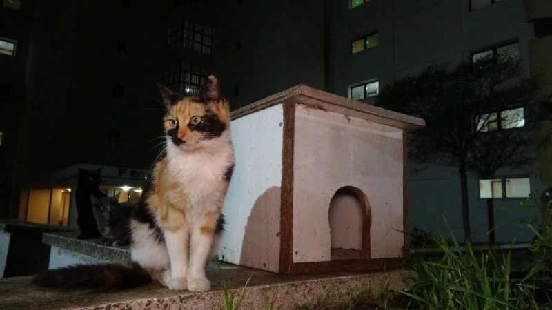 Öğrenci yurdundan çıkan atık mobilyalar bakın neye dönüştü
