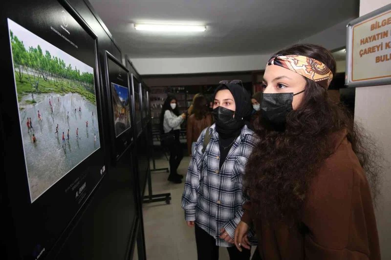 Ödüllü fotoğraflar sergilenmeye başladı
