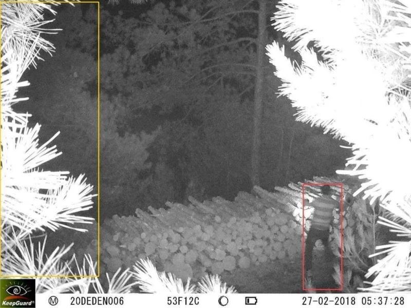 Odun hırsızlığı foto kapana yakalandı
