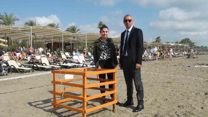 Kasım ayında denizle buluşan caretta caretta yavruları ilk kez görüntülendi
