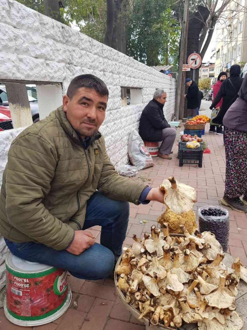 Mantar 50 liradan pazara indi
