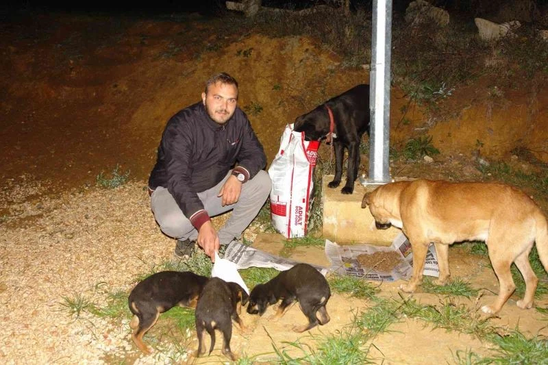  Sloganları ’Nerede bir canlı varsa bu gece aç uyumayacak’
