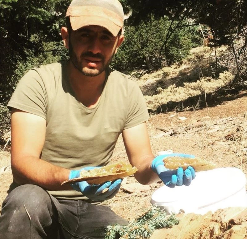Kaya ve ağaç kovuklarındaki bal ile babası şifa bulunca balcılığı meslek edindi
