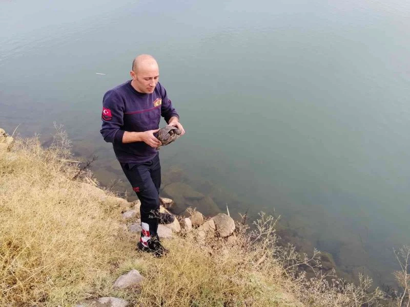 İtfaiye ekipleri asfaltta dolaşan kaplumbağayı kurtardı
