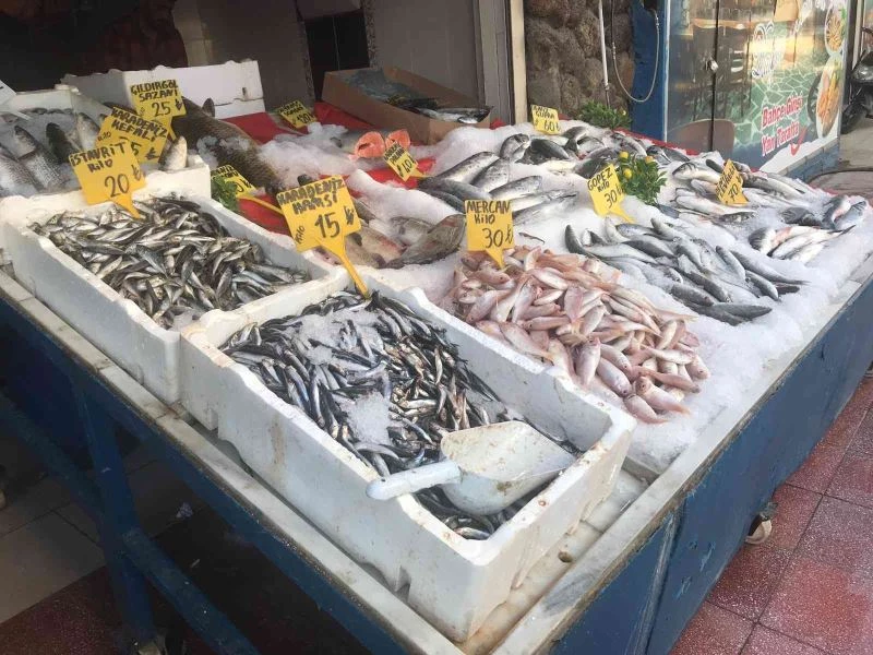Iğdır’da hamsinin fiyatı 10 liraya düştü, tezgahlar boşaldı
